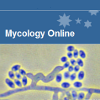 Mycology online
